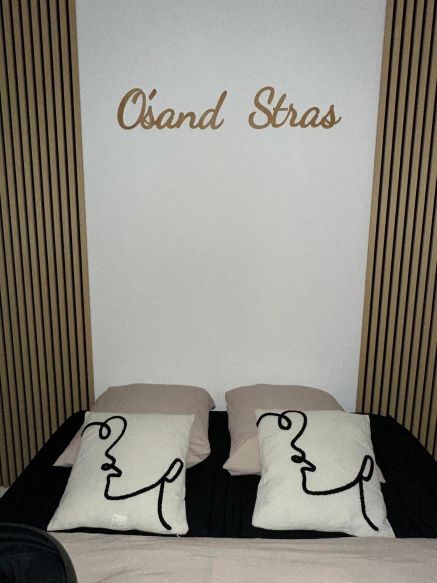 O Sand Stras Studio 25M Carre Strasbourg Ngoại thất bức ảnh