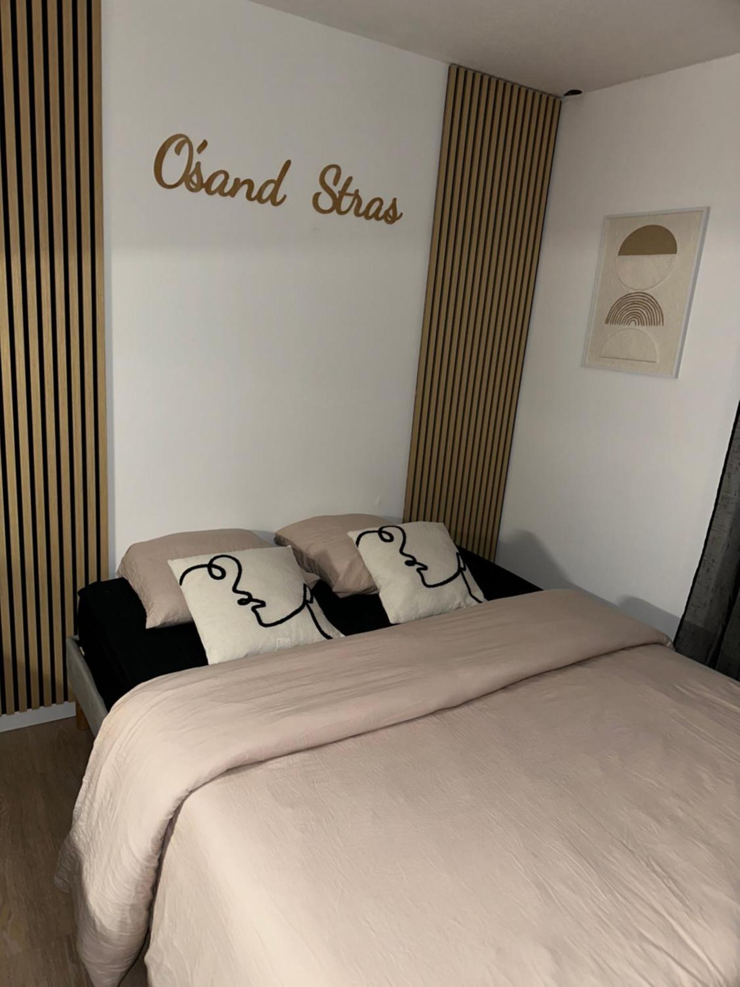 O Sand Stras Studio 25M Carre Strasbourg Ngoại thất bức ảnh